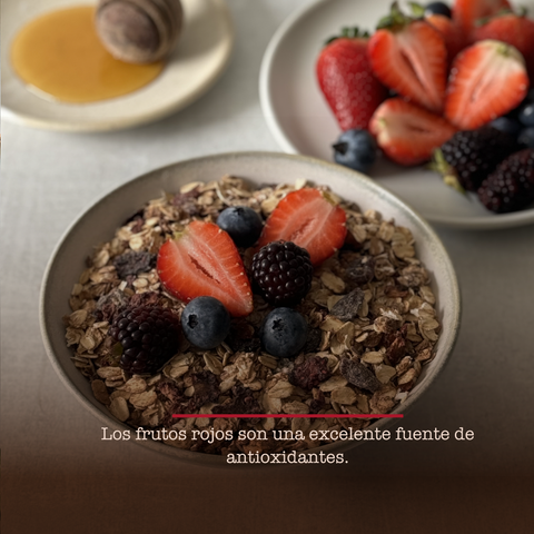 Granola con Frutos Rojos 350g