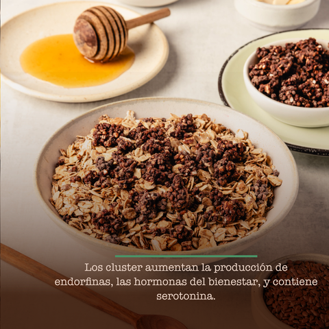 Granola con Clusters de Chocolate 350g